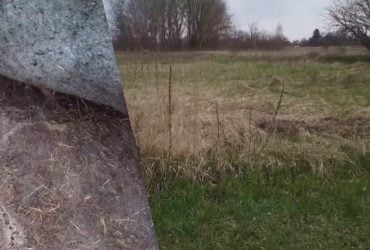 Украинка показала, как вывести пырей с участка навсегда: гербициды не нужны