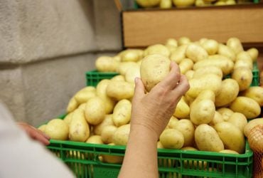 Какой картофель посадить, чтобы собрать урожай уже в июне: эксперт назвала лучшие сорта