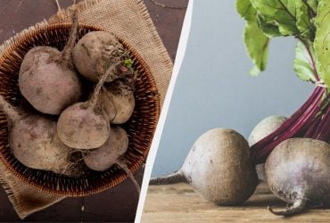 Цей буряк - краще за всі сучасні гібриди: фермер назвав найсолодший сорт