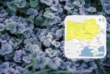 Опасные заморозки накроют Украину уже этой ночью: температура упадет до -3° (карта)
