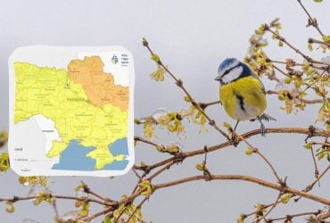 До -3° уже этой ночью: где в Украине ожидается самый сильный холод (карта)