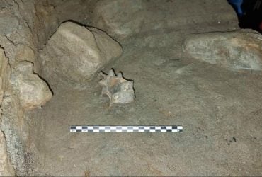 У 75000-річній печері в Норвегії виявили 46 видів, які ніколи не зустрічалися в одному місці