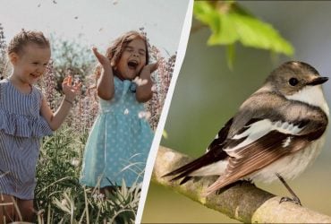 Большой праздник в Украине и профессиональный в мире: что 9 апреля сделать дома