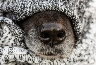 До кінця квітня про справжнє тепло можна забути, - синоптик