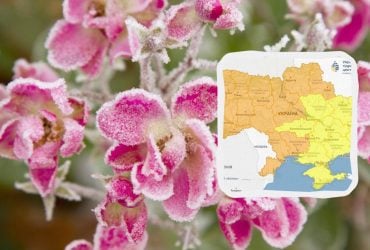 Заморозки атакують Україну ще не одну ніч: синоптики попереджають про небезпеку (карта)