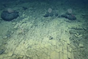 Жуткое зрелище: ученые обнаружили на дне океана желтую кирпичную дорогу (видео)