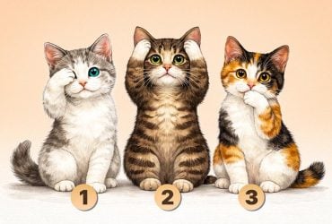 Що вам подобається в собі: візуальний тест для визначення самооцінки