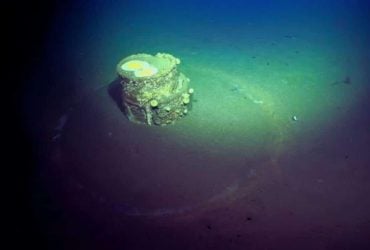 Ученые обнаружили на дне океана загадочные бочки, окруженные странными белыми кольцами