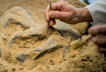 Ученые нашли скелеты возрастом 7 000 лет с ДНК неизвестного науке человеческого вида