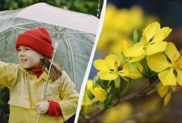 Сегодня большой праздник в Украине: кого 17 апреля нужно поблагодарить