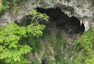 В Китае ученые обнаружили гигантский лес на глубине 200 метров под землей