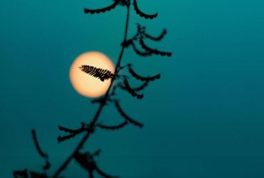 Місячний календар на квітень 2026: які дати принесуть гроші, а які - проблеми