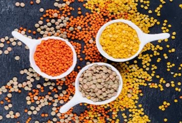 Сочевиця саме цього кольору - найкорисніша: як вона діє на організм