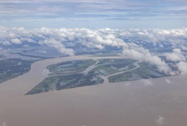 В Амазонії виявили сотні кілометрів стародавніх доріг, що могли вести до духовного світу