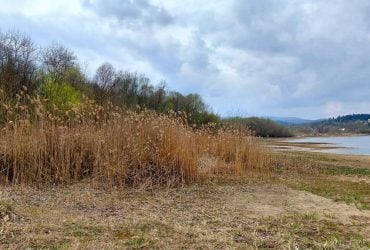 Затишне озеро Доброгостів – маршрут з Трускавця