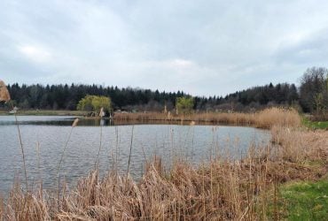 Доброгостів: розслабляючий похід до мальовничого озера з Трускавця