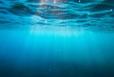 Японские ученые обнаружили скрытый вулкан на дне Тихого океана возрастом 3 миллиона лет