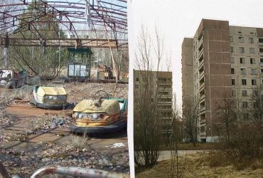 Есть ли в Припяти мутанты: ученый рассказал, кто населяет город-призрак