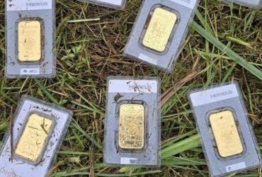 У Німеччині чоловік знайшов золоті злитки на 40 000 євро під час стрижки газону