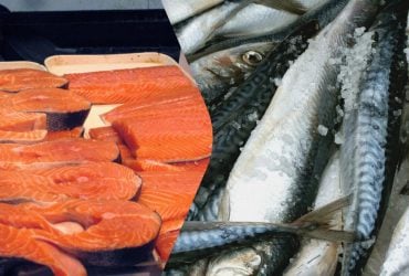Лосось чи скумбрія: у чому різниця та яка риба корисніша