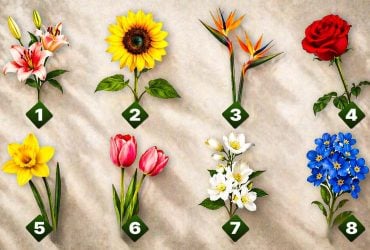 Романтический тест личности: цветок расскажет, кто ваша идеальная вторая половинка