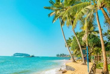 Где тепло в мае и июне: названы самые солнечные направления для отдыха