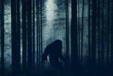 В 1977 году доказательства существования снежного человека были переданы ФБР: экспертиза удивила