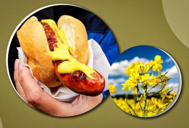 Чому раптом хочеться гірчиці і скільки її можна їсти: лікарка розповіла про користь приправи