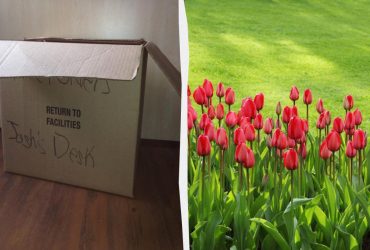 Не мусор, а ценный ресурс: 3 способа использовать картон в вашем саду