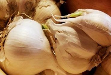 Безопасно ли есть проросший чеснок: эксперт дала четкий ответ