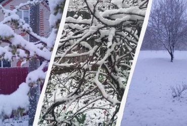 В Україні сніжить з новою силою: холод з півночі накрив країну (фото, відео)