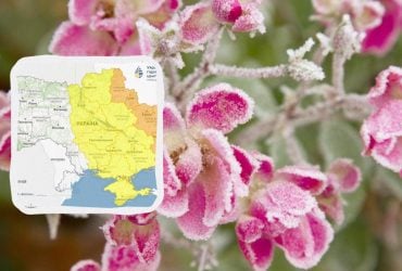 Заморозки атакують Україну сьогодні вночі: температура впаде до "мінусів" (карта)