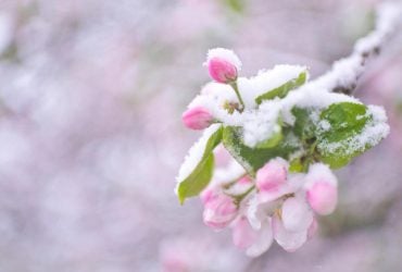 Мокрий сніг, дощі, похолодання та сильний вітер атакують Україну 26 квітня, - синоптикиня