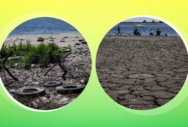 Что будет на месте Каховского водохранилища через 100 лет: прогноз эколога