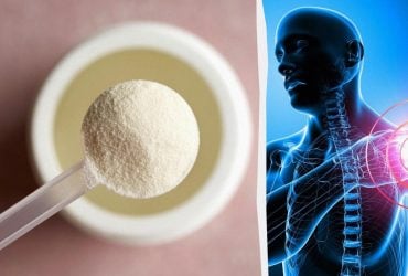 Ученые научились выращивать костную ткань на основе кератина из шерсти животных