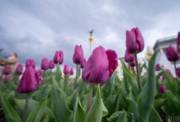 В Киеве потеплеет до +15°: синоптики назвали точную дату (график)