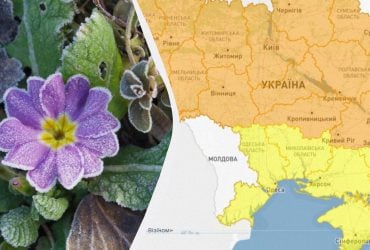 В Україні похолоднішає до -3°: синоптики розкзаали, де підморозить (карта)