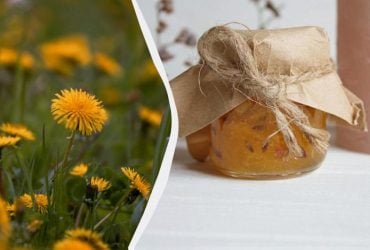 Солодке й густе, як мед: як приготувати сезонне варення з кульбаб