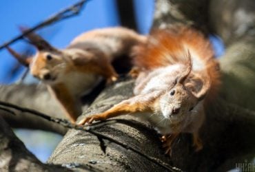 Почти лето: в Украину идет потепление до +24°