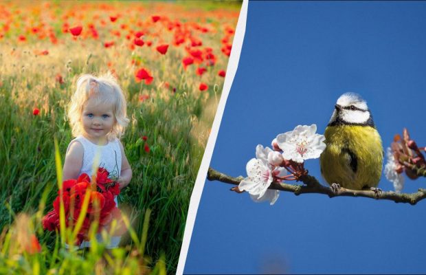 Обряд на здоровье в праздник 4 апреля: что сегодня нужно выпить с утра