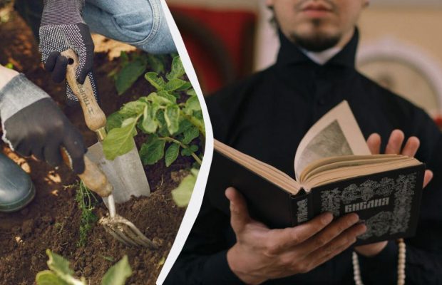 В эти два дня заниматься растениями и огородом запрещено: когда они наступят