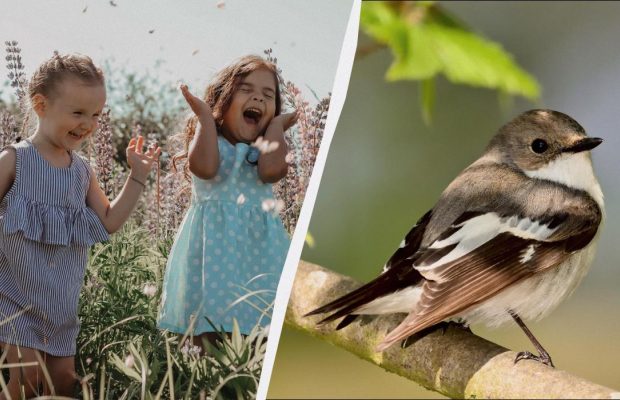 Большой праздник в Украине и профессиональный в мире: что 9 апреля сделать дома