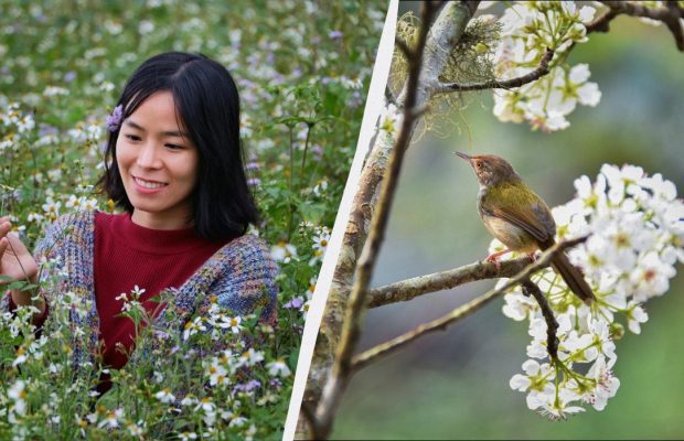 Почему 10 апреля - грустный и опасный день: украинские приметы в праздник сегодня