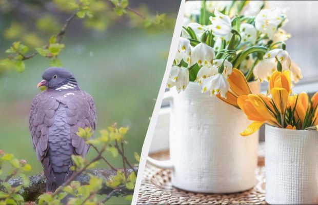 Сьогодні в Україні велике свято: що 11 квітня кожному потрібно зробити вдома