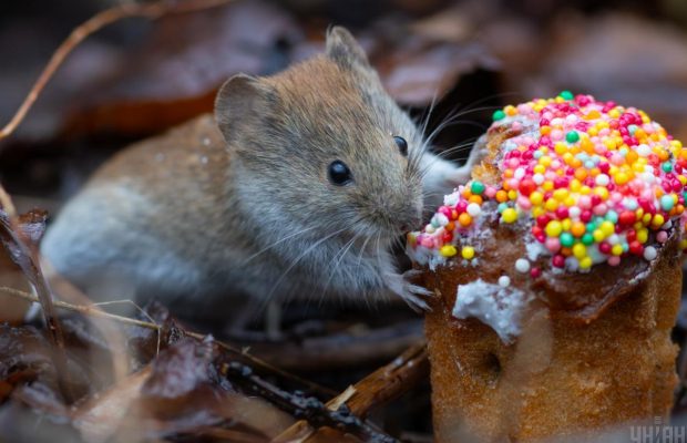 Синоптик розказав, яка погода буде в Україні на великодні вихідні