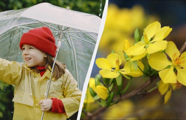 Сегодня большой праздник в Украине: кого 17 апреля нужно поблагодарить