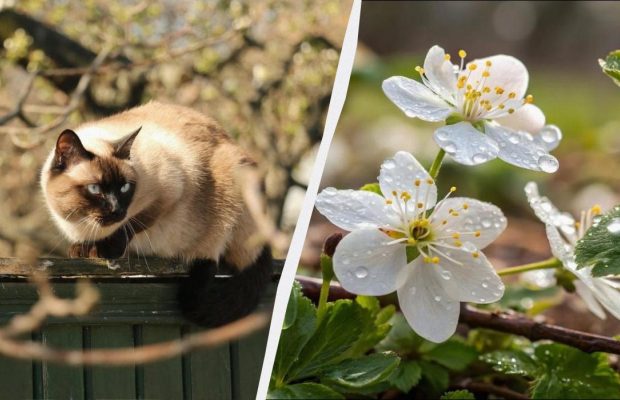 Два необычных праздника в Украине 18 апреля: что надо сделать для счастливого года