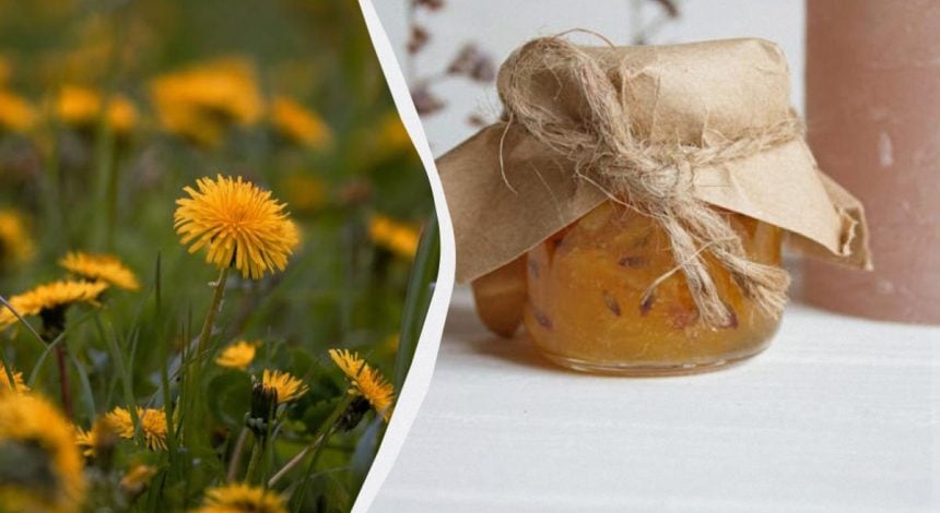 Солодке й густе, як мед: як приготувати сезонне варення з кульбаб