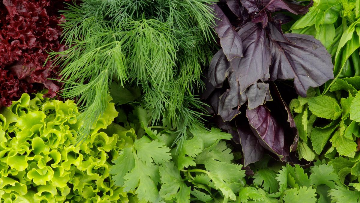 5 продуктів, які містять набагато більше корисних речовин, н