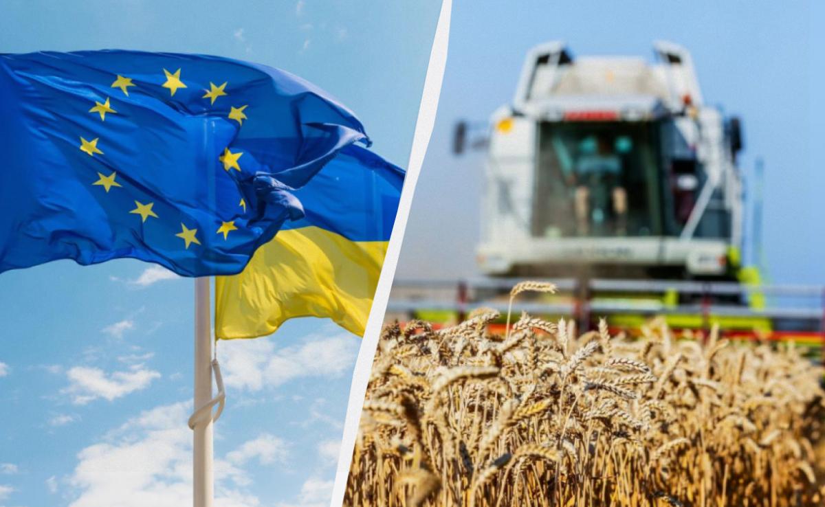 Денег никто не даст: быстрое вступление в ЕС больно ударит по украинским аграриям